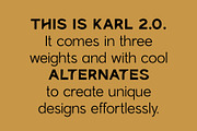Karl – Cool Sans w Unique Alternates, a Sans Serif Font by Local Desk Designstudio (Thumbnail 14 of 28)