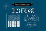 Elegant Modern Serif Font, a Serif Font by Simetrica Labs (Thumbnail 5 of 7)