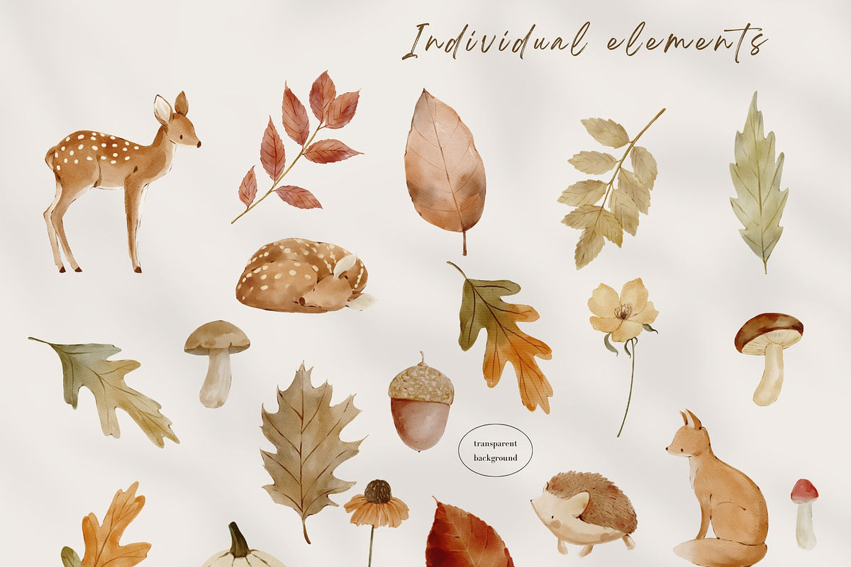 Woodland Watercolor Autumn Set, an Animal Illustration by Jenteva Art (Photo 11 of 15)
