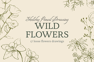 Sketchy Pencil Drawing Wildflowers