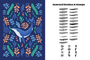 Whale Creator: 100 Procreate Brushes, a Brush Add-On by Pencil Twist (Thumbnail 4 of 11)
