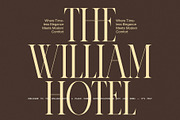 Romance Elegant Serif Font, a Serif Font by Graphicxell (Thumbnail 2 of 8)