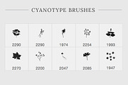 Flower Photoshop brushes, a Brush Add-On by Little Bean (Thumbnail 7 of 8)
