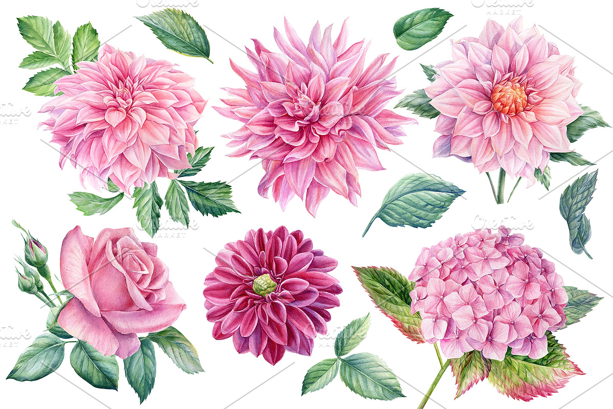 Delicate flowers, a Decorative Illustration by Hanna Hryharenka (Photo 2 of 13)