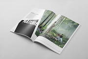 Magazine Template 61, a Magazine Template by pmvch (Thumbnail 5 of 14)