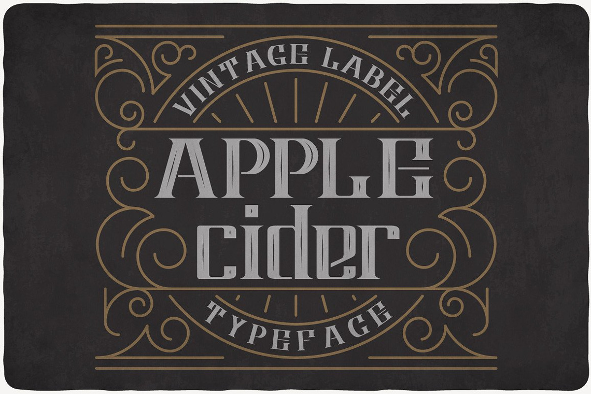 Vintage Fonts Bundle, a Font by VozzyStock (Photo 4 of 29)