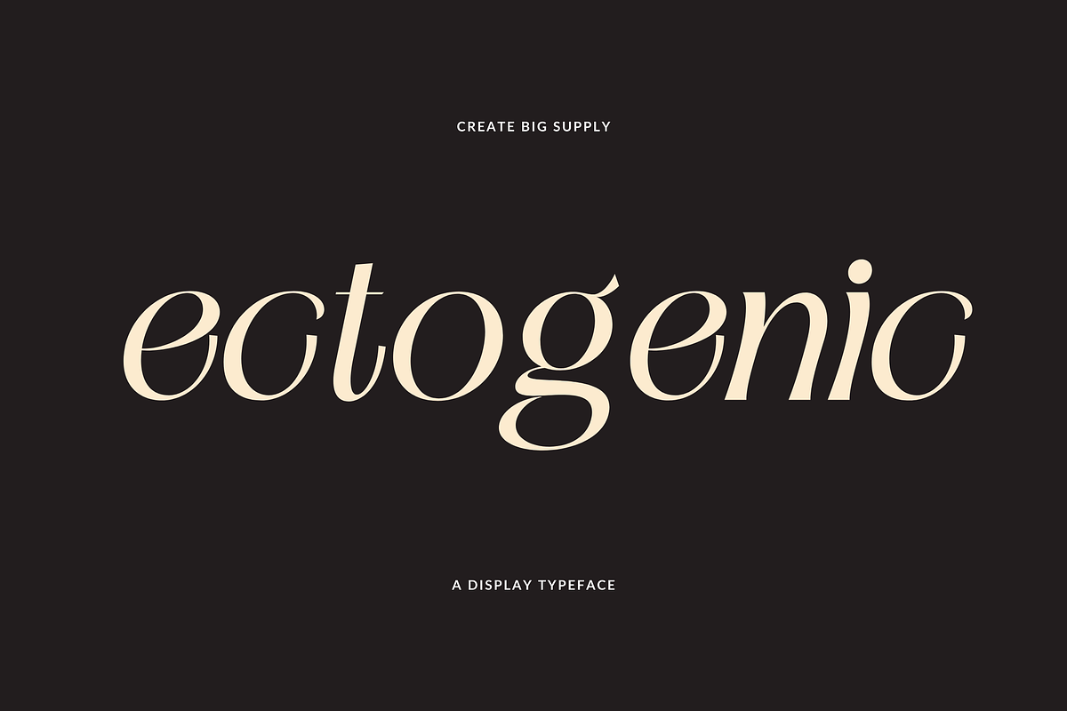 Ectogenic, a Serif Font by CreateBigSupply (Photo 1 of 8)