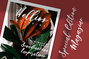 Angelina Rahmy - Modern Script Font, a Script Font by StringLabs (Thumbnail 8 of 12)