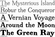Screwby Regular Family, a Serif Font by Pink Broccoli (Thumbnail 2 of 3)