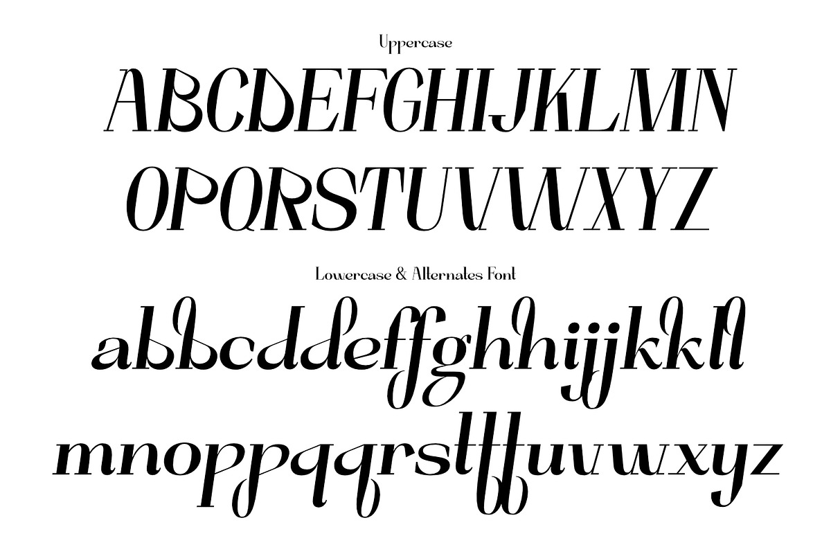 Miguola Serif Humanist, a Serif Font by Khoir (Photo 10 of 12)