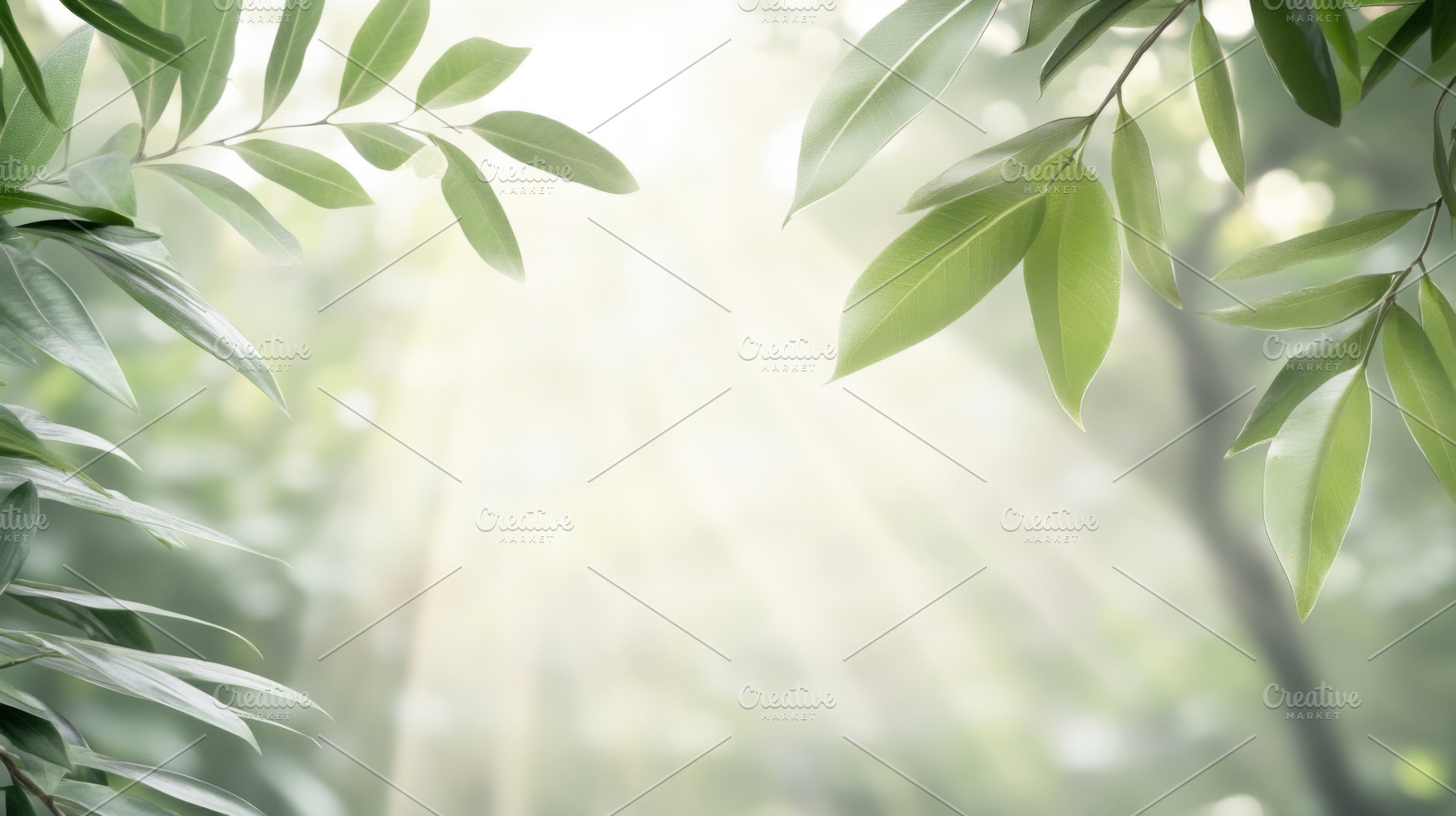 Beautiful blurred background of an e, a Photo by Dvoevnore photos