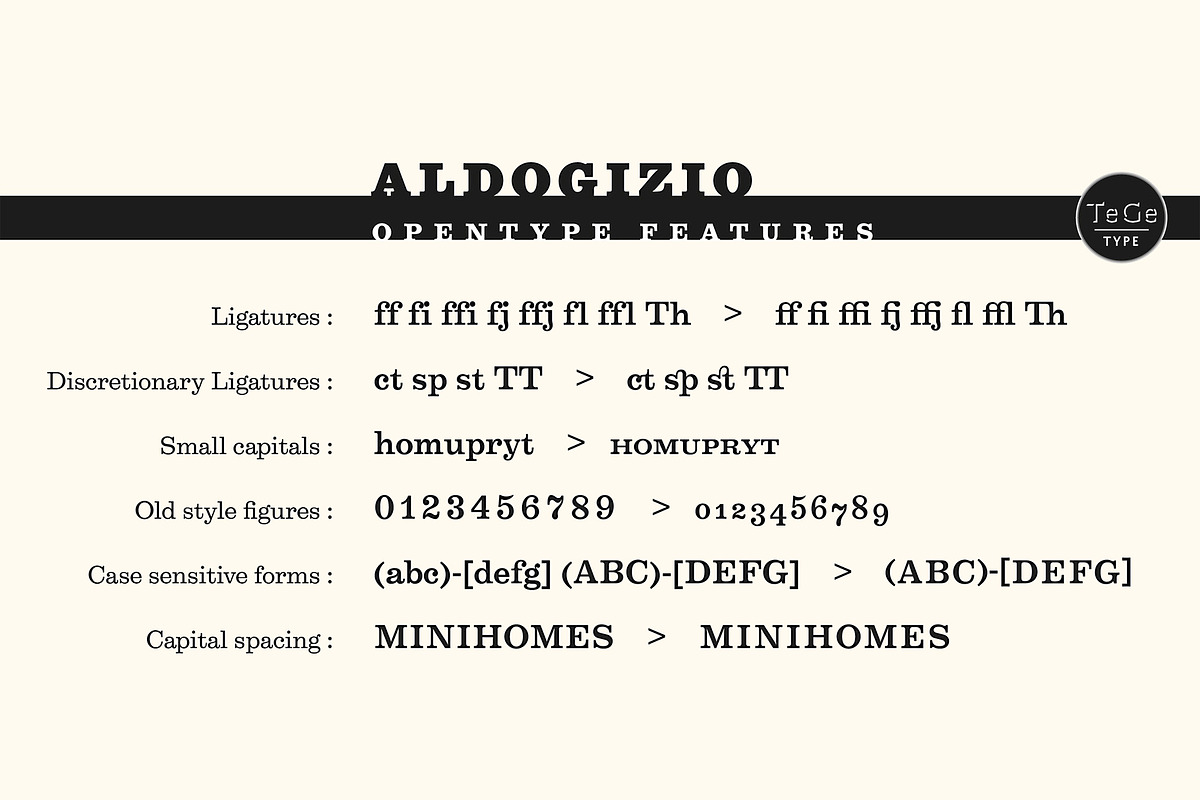 Aldogizio, a Serif Font by TeGeType foundry (Photo 6 of 7)