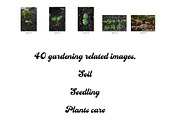 40 Gardening Backgrounds, a Nature Photo by Pullia (Thumbnail 3 of 6)