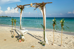 tree root wedding arch