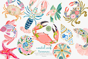 Tropical reef clipart set, a Decorative Illustration by Patishop Art (Thumbnail 1 of 10)