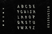 WithAnimals Font, a Handwritten Font by Towards The North (Thumbnail 2 of 8)