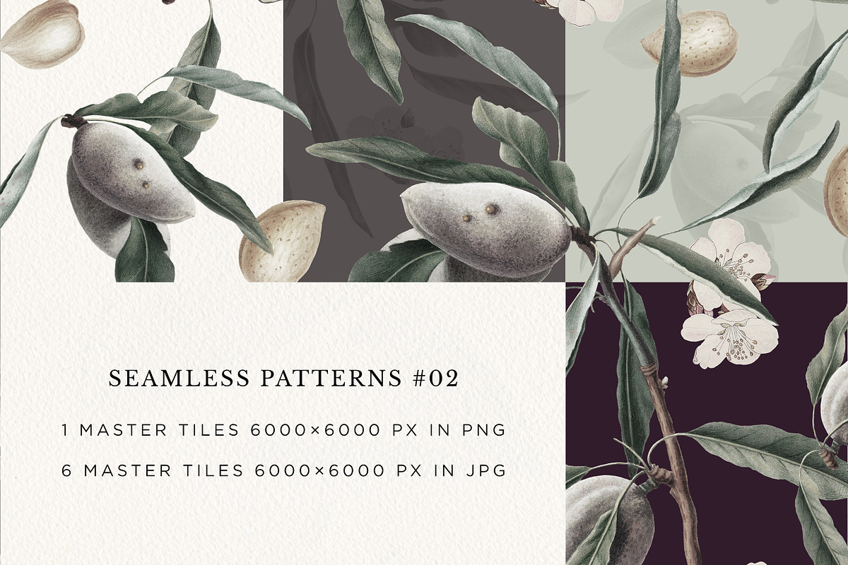 Vintage Almond Patterns & Elements, a Pattern Graphic by Olga Begak Art & Design (Photo 4 of 8)