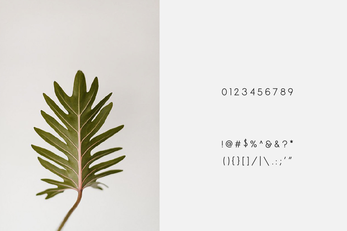 Espresso - Minimal Display Font preview 5