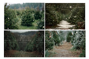 Christmas Tree Farm Digital Backdrop, a Layer Style Add-On by Wild Honey Design Co. (Thumbnail 2 of 4)