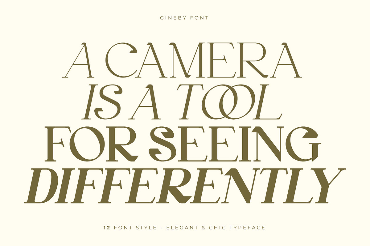 Gineby - Serif Typeface Font, a Serif Font by Rishsketch (Photo 4 of 16)