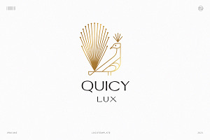 QUICY Logo Template