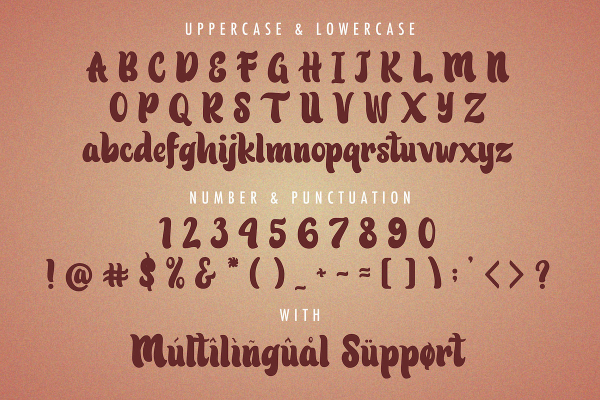 Patric Zihva - Retro Bold Script Fon, a Script Font by StringLabs (Photo 14 of 15)