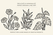 Botanical Line Art PNG Bundle, a Decorative Illustration by shielscreations (Thumbnail 3 of 5)