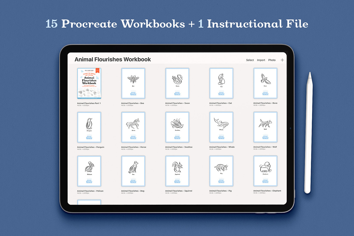 Animal Flourishes Procreate Workbook, an Animal Illustration by Molly Suber Thorpe (Photo 5 of 7)