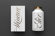 Bustra Script Pro, a Script Font by Alcode (Thumbnail 15 of 18)