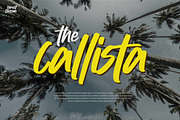 Forrest Blossom – Quick Brush Font, a Handwritten Font by Gassstype (Thumbnail 2 of 8)