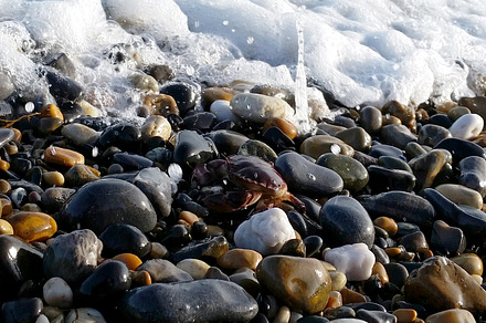Seaside rocks featuring seaside, rock, and rocks