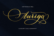 Auriga, a Script Font by Typehill (Thumbnail 1 of 12)