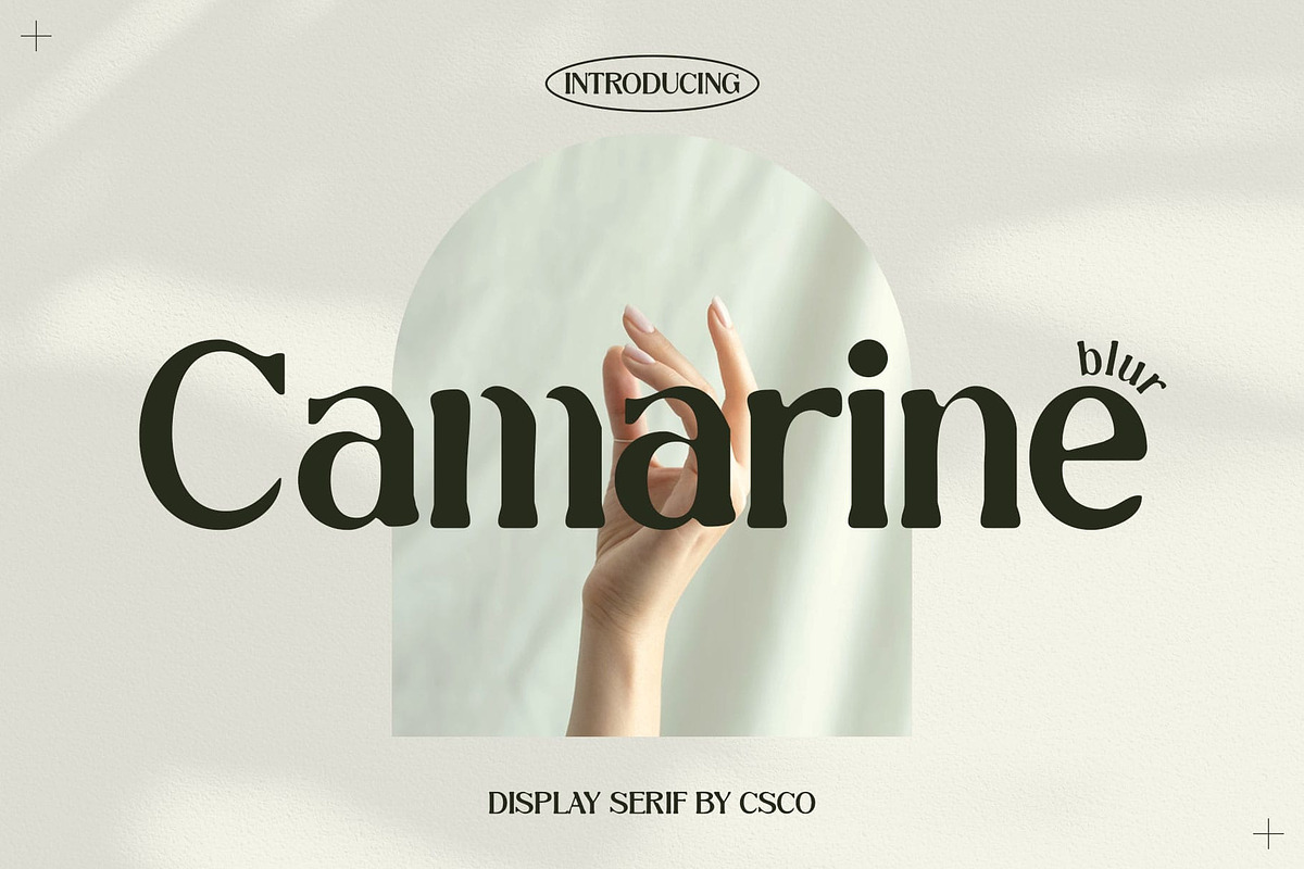 Camarine Blur, a Serif Font by Craft Supply Co. (Photo 1 of 8)