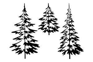 Christmas fir tree, contours, an Illustration by Ok-sana