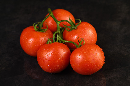 Fresh ripe red tomatoes branch, a Food & Drink Photo by Apolonia