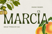 CS Marcia – Aesthetic Font, a Sans Serif Font by Craft Supply Co. (Thumbnail 1 of 8)