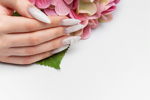 Woman's hands holding pink hydrangea with elegant manicure, a Health & Medical Photo by Olena Rudo