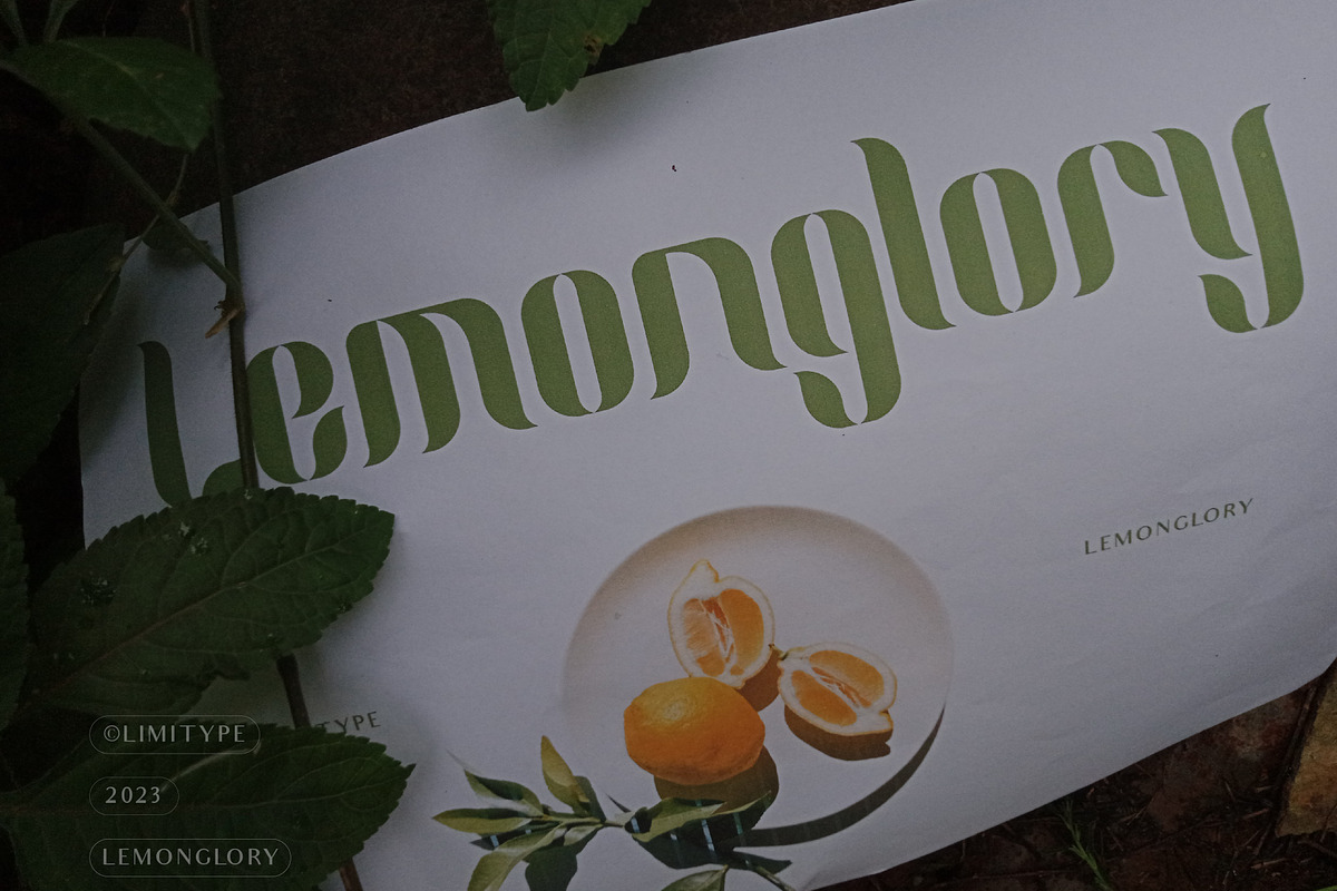 Lemon Glory - Flowers Font, a Script Font by limitype (Photo 2 of 20)