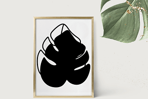 Monstera Leaf SVG Illustrations