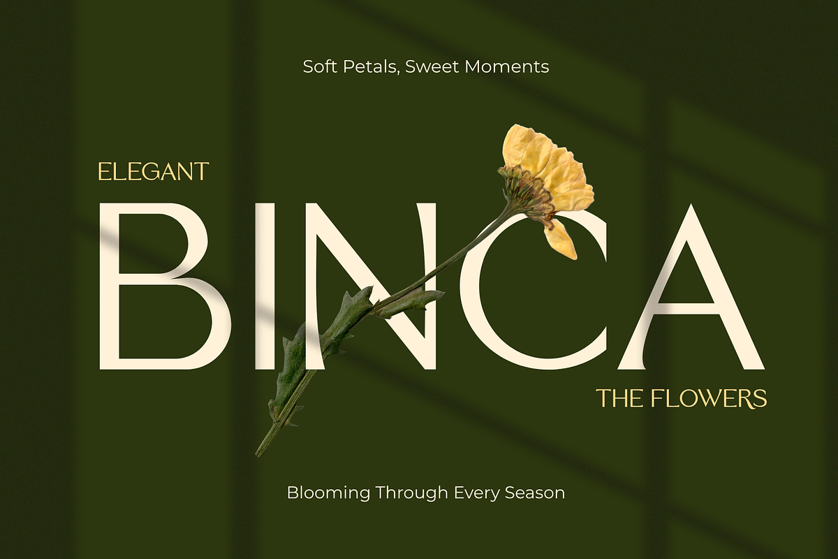 Biegva – Elegant Beauty Sans Serif, a Sans Serif Font by MaikoHatta (Photo 2 of 8)