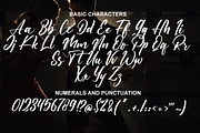 Munellisa a Modern Handwritten Font, a Script Font by Fatmawati (Thumbnail 10 of 12)