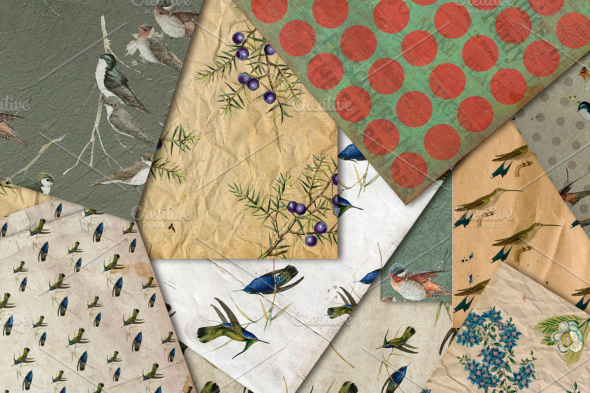 Vintage Birds- 10 Digital paper, a Texture Graphic by JAY MID IMAGE (Photo 2 of 4)