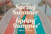 Sunshine Orange - Retro Serif Font, a Serif Font by Myn Type (Thumbnail 8 of 13)