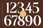 Besteza Modern Serif Display, a Font by timelesstype.co (Thumbnail 10 of 19)