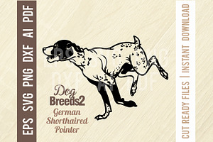 German Shorthaired Pointer