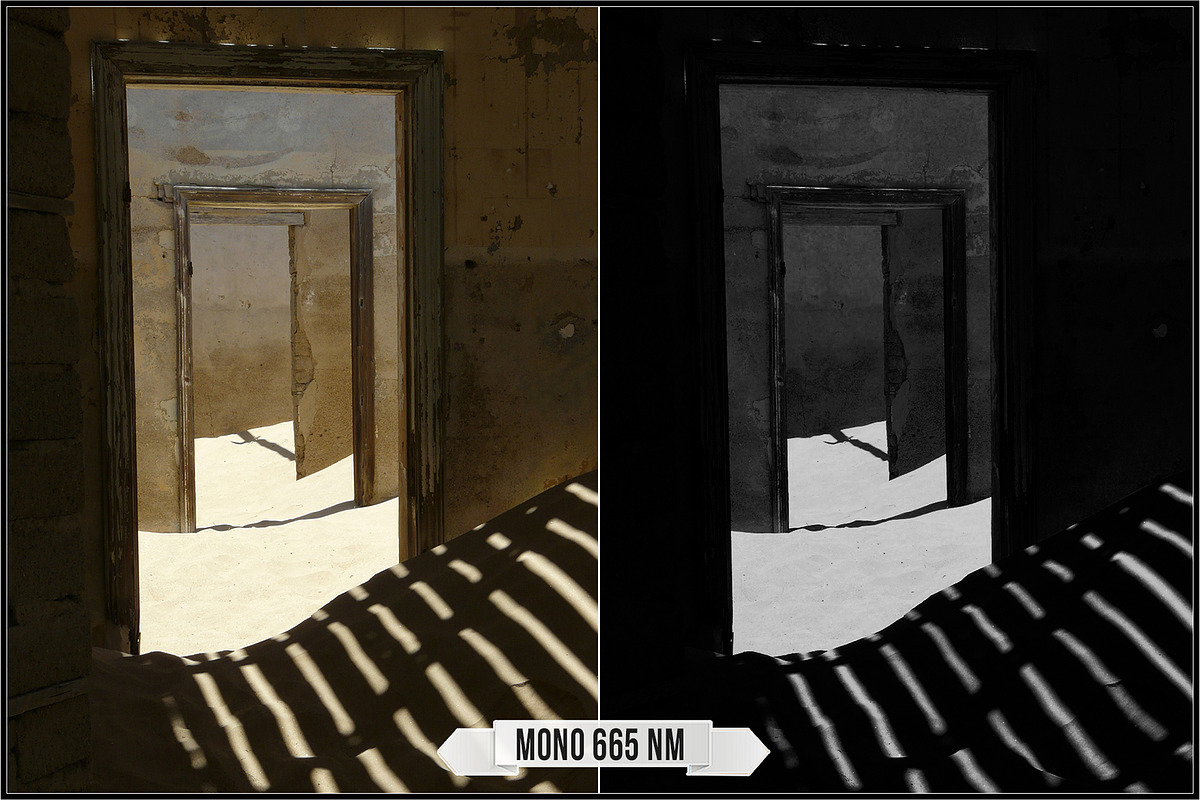 Spectrum Black & White profiles LUTs, a Plug-in Add-On by Raztrend (Photo 14 of 31)