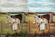 FALL PRESETS for Autumn Photos, a Preset Add-On by AAA Presets (Thumbnail 11 of 22)