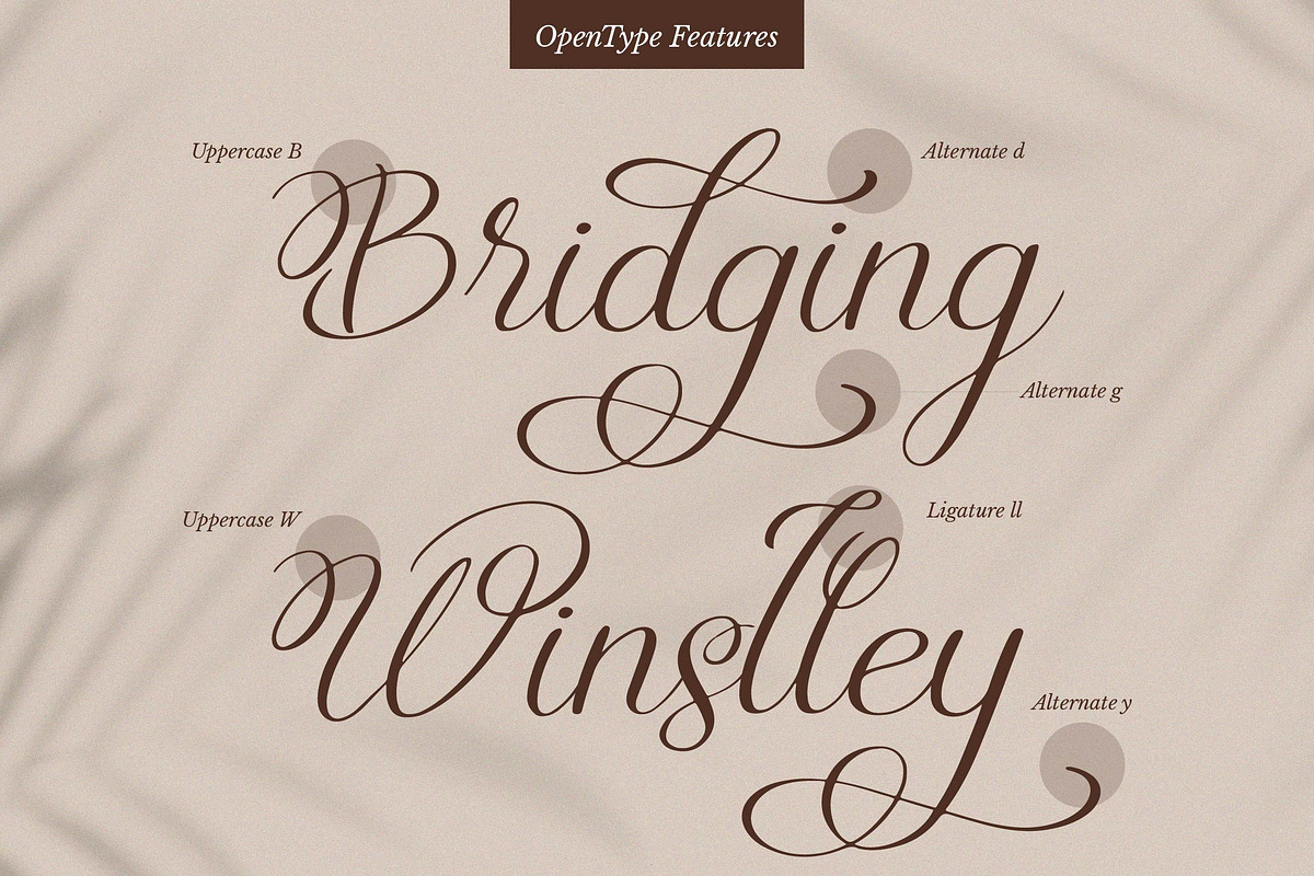 Rellydon Beautiful Calligraphy Font, a Script Font by Denustudios (Photo 8 of 13)