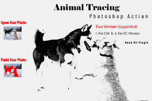 Animal Tracing Photoshop Action