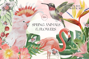 Spring Animals Watercolor